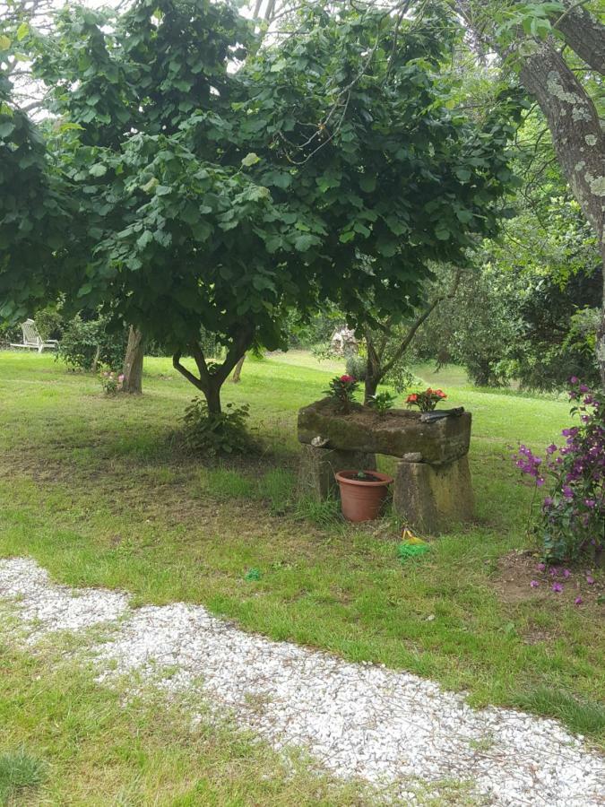 La casa della quercia Hostal Lorenzana Exterior foto